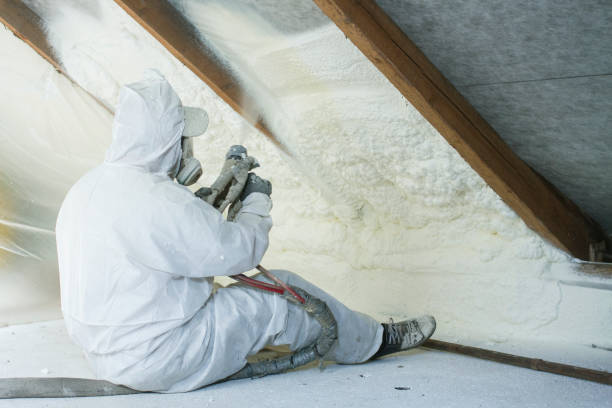 Best Wall Insulation Installation  in Fowlerville, MI